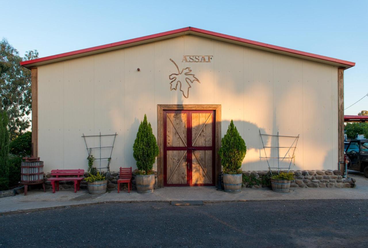 Assaf Boutique Winery & Cabins Kidmat Tsvi エクステリア 写真