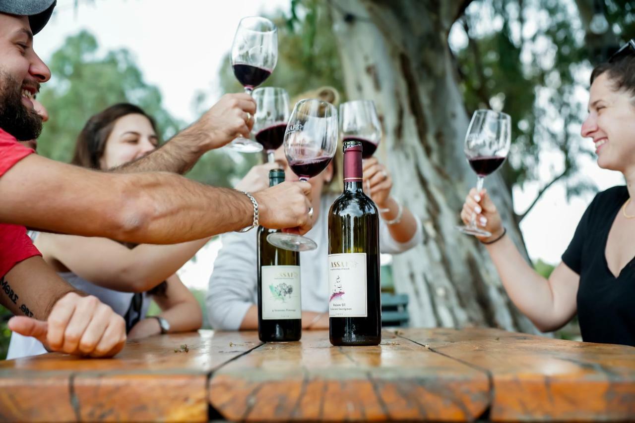 Assaf Boutique Winery & Cabins Kidmat Tsvi エクステリア 写真